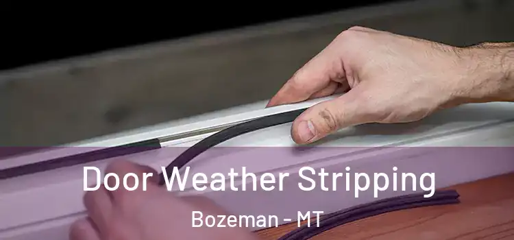 Door Weather Stripping Bozeman - MT
