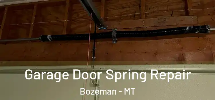  Garage Door Spring Repair Bozeman - MT