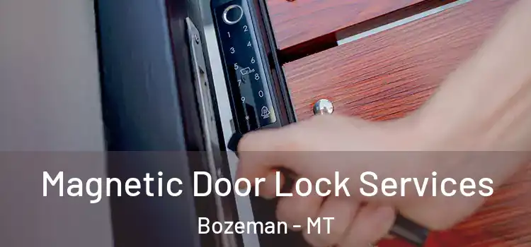 Magnetic Door Lock Services Bozeman - MT