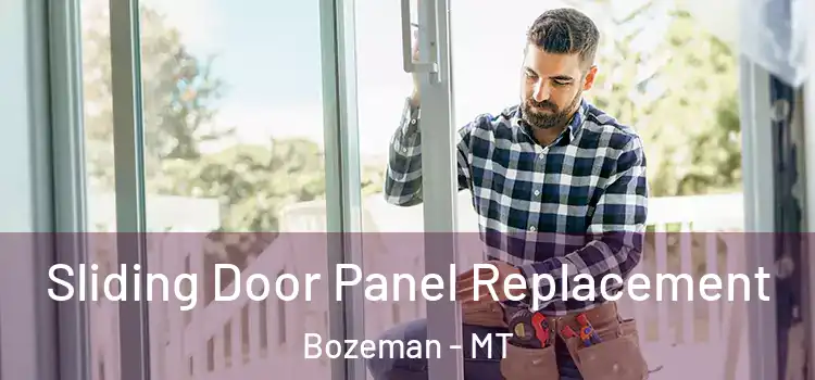  Sliding Door Panel Replacement Bozeman - MT