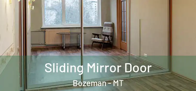  Sliding Mirror Door Bozeman - MT